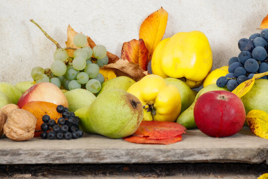 rural harvest on the wooden board. bunch of ripe fruits. organic healthy food and rustic still life composition