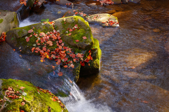 water flow among the mossy rocks. beautiful nature background on a sunny autumn day in forest. fallen foliage on the shore and creek. ripples on the transparent surface