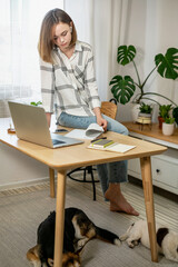 Young woman entrepreneur working on laptop at home with her dogs together in modern room with plants. Girl using a computer for study online at home, female user busy on a distance internet job. Cozy