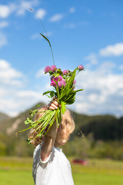 Kind h&auml;lt selbst gepfl&uuml;ckte Blumen vor Berglandschaft.