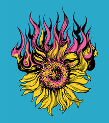 sunflower in flames hand drawn engraved illustration
