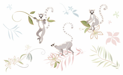 Hand drawn lemurs on a tree brunch with vanilla flowers and leaves Vector clipart on white background isolated.. Three realistic cute lemurs in different poses