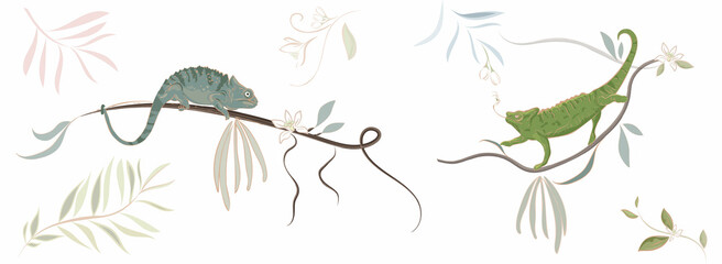Hand drawn chameleon on a tree brunch with vanilla flowers and leaves Vector clipart on white background isolated