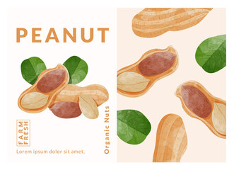 Peanut or Groundnut packaging design templates, watercolour style vector illustration.