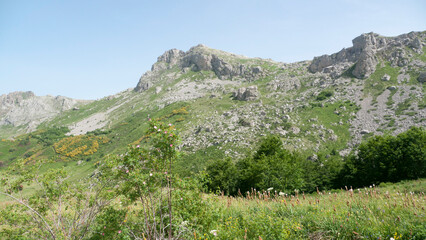 Fototapeta na wymiar Pico de montaña rocosa