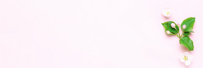 Blossoming apple tree branch on a pink background. Top view with place for text. Summer concept with copy space.