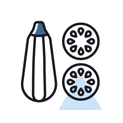 Zucchini vector isolated icon. Vegetable symbol