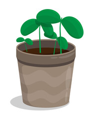 Young sprouts in ceramic pot. Gardening and growing fruits and vegetables on farm. Cartoon vector isolated on white background