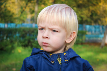 Young serious child walking outdoors in autumn park. Closeup of cute caucasian baby boy with thoughtful expression in blue eyes. Little blonde hair boy looking away with strong emotions, sad face