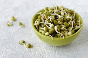 Mung bean sprouts in a bowl. Fresh green microgreens healthy spring food.