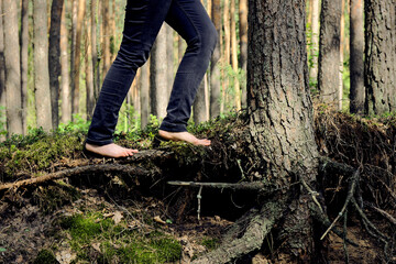 Barefoot woman walking on tree roots in forest area. Mindful walk and nature connection.