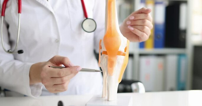 Traumatologist examines model of lower leg and knee joint in clinic