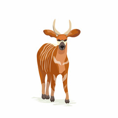 Bongo Antelope central african animal isolated on white