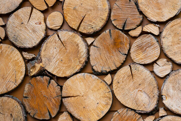 wooden background, cut tree trunks on panels