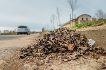 Fallen leaves are collected in heaps along the curb of the asphalt road.Spring overcast day.Selective focus.