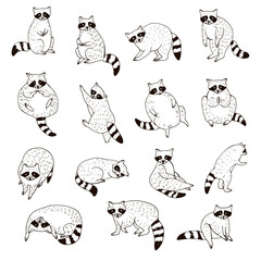 Raccoon forest animal vector line illustrations set © GooseFrol
