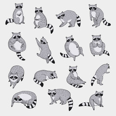 Raccoon forest animal vector illustrations set © GooseFrol