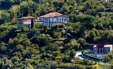 Fototapeta na wymiar Port wine vineyard on the hills in the Douro Valley near Pinhao, Porto, Portugal