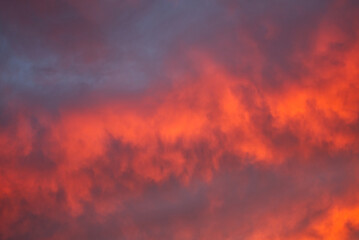 Beautiful red sunset in a summer day