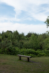 Obraz premium Hindhead Common