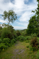 Hindhead Common