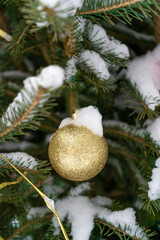 Christmas toys golden ball on the Christmas tree. Snow on a branch. Street decoration in winter. Winter background.