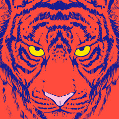 The face of a tiger in a thicket of ferns. Vector illustration
