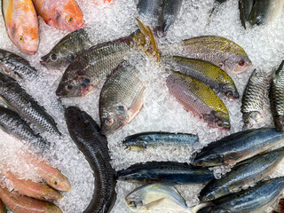 Top View, Fish on Ice Trays in Market.