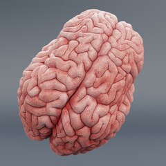 Realistic 3D Render of Human Brain