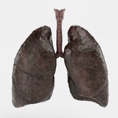 Realistic 3D Render of Smoker Lungs