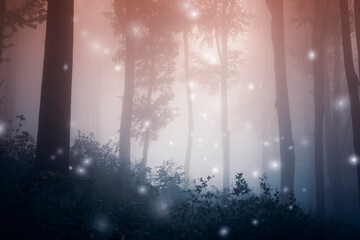Fototapeta premium magic sparkles in fantasy forest with fog