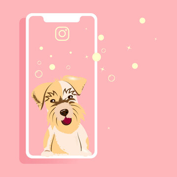 The Dog Looks Out Of The Phone. Pet Care Concept For Instagram Post