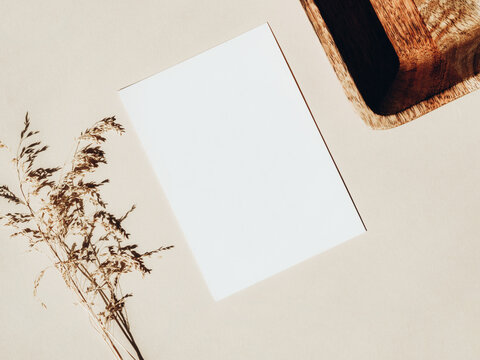 White blank card for text mockup, dry plant and wooden tray on beige background.