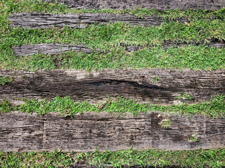 Top view, old decay plank wood in garden, rough skin texture background.