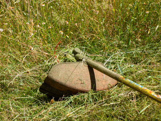 brush cutter on a lawn in the garden