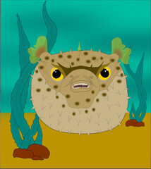 Colorful puffer fish on a seabed with algae and rocks