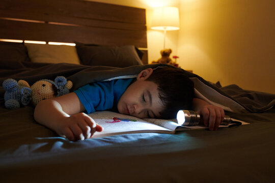 Boy fell asleep with flashlight in hand when reading book of stories