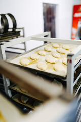 fresh pies from the dough put in the oven