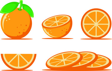 Orange vector illustration. Modern style. half, full, cut, and Oranges. FLAT fruit drawing