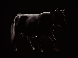 Silhouette of a walking cow. 3d illustration.