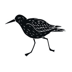 Vector hand drawn doodle sketch black sandpiper bird isolated on white background