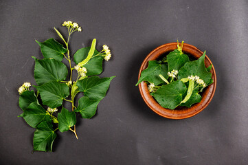 Folk medicine concept. A linden tree branch and a brown bowl against a black background. The...
