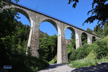 Fototapeta na wymiar Brücke im Schwarzwald