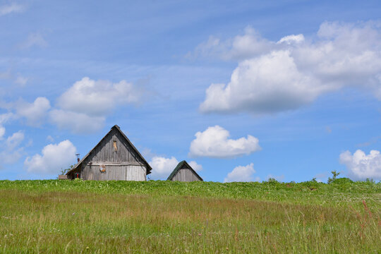 an old wooden house among the grass in the field. Summer landscape