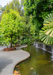 Obraz premium Singapore botanical garden orchids palms