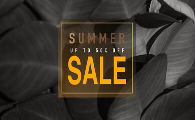 Summer sale 50 