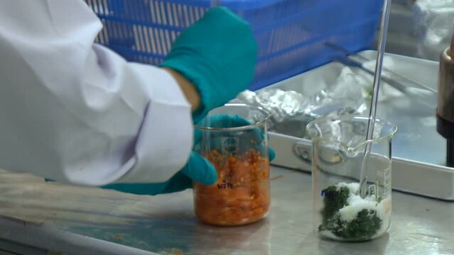 Researchers detect pesticide residues in vegetables in the lab