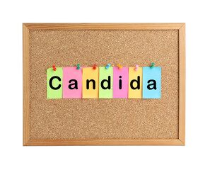 Cork board with word Candida made of colorful notes on white background
