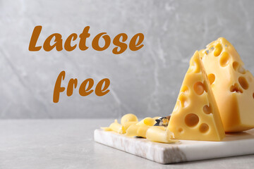 Tasty lactose free cheese on light table