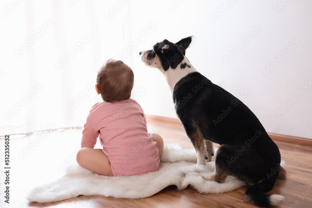 Canvas Prints Adorable baby and cute dog on faux fur rug indoors, back view